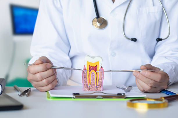 Best Emergency Wisdom Teeth Removal in Greenville, GA